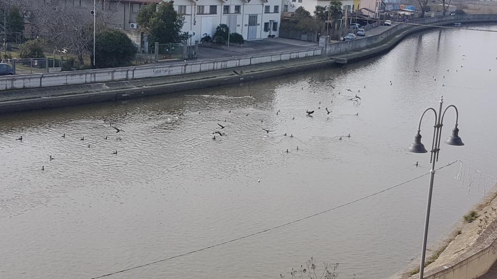 Palazzo Spada - Attico Con Terrazza Vista Fiume In Centro Codigoro Zewnętrze zdjęcie