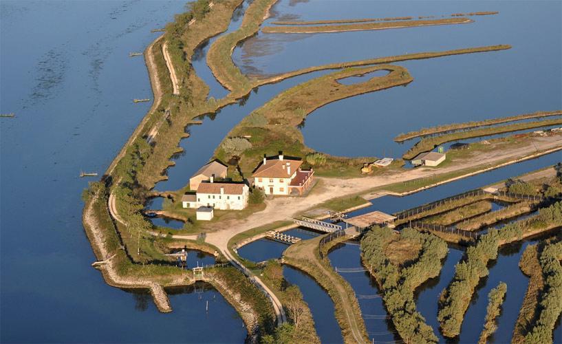 Palazzo Spada - Attico Con Terrazza Vista Fiume In Centro Codigoro Zewnętrze zdjęcie